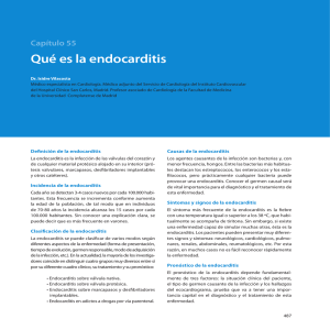 Qué es la endocarditis