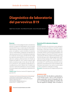 Diagnóstico de laboratorio del parvovirus b19