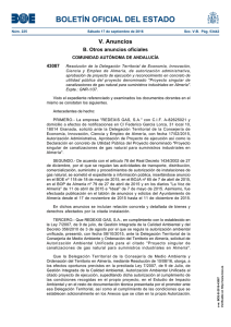 PDF del anuncio