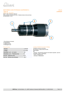 motores con potencia superior a 1000 w hoja lkw02r