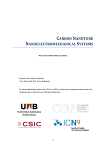 carbon nanotube nanoelectromechanical systems