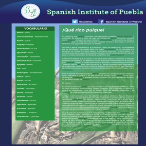 ¡Qué rico pulque! - Spanish Institute of Puebla