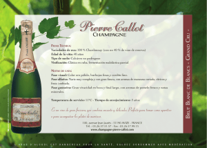 Descargar el prducto - champagne pierre callot