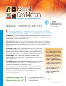 Natural Gas – The Fuel for Your Entire Home