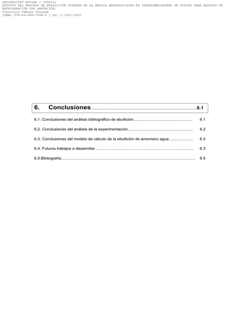 6 Conclusiones