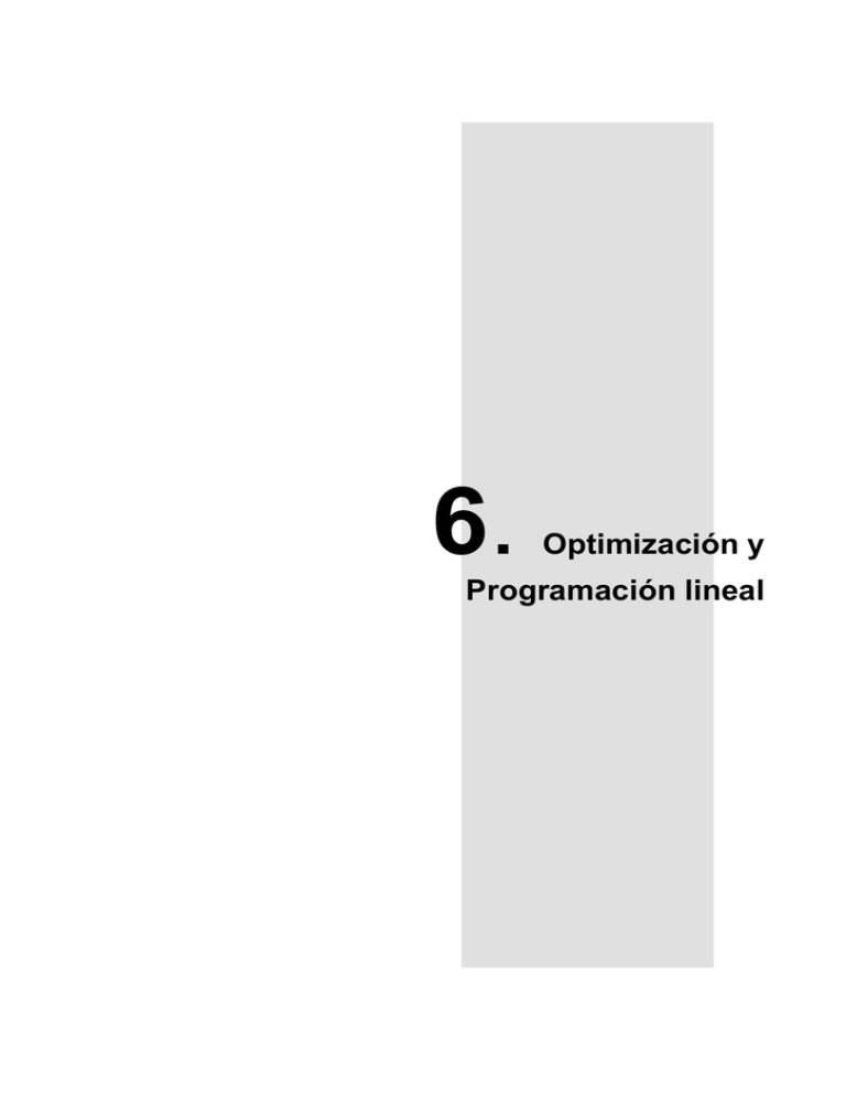 6. Optimización Y Programación Lineal