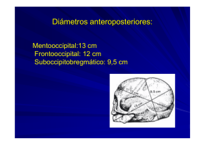 Diámetros anteroposteriores: