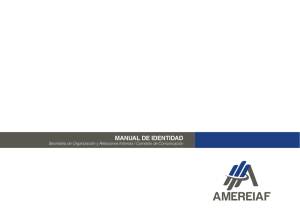 Manual de Identidad AMEREIAF