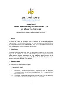 Descargar 3. Lineamientos CED Cundinamarca
