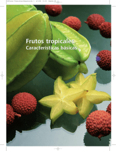 Frutas tropicales. Características básicas