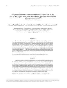 Oligocene-Miocene ramp system (Asmari Formation) in the NW of