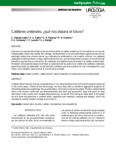 Catéteres ureterales: ¿qué nos depara el futuro?