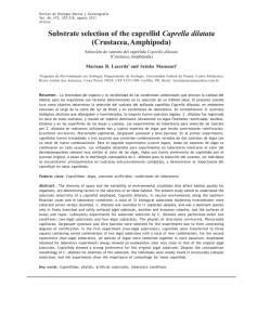 Substrate selection of the caprellid Caprella dilatata