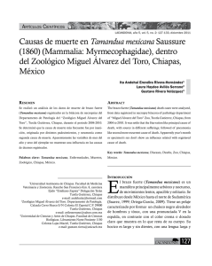 Causas de muerte en Tamandua mexicana Saussure (1860
