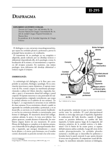 Diafragma - Página Oficial Sociedad Argentina de Cirugía Digestiva
