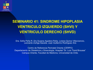 Sindrome Hipoplasia Ventriculo Izquierdo (SHVI)