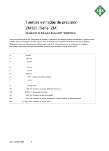 Tuercas estriadas de precisión ZM125 (Serie ZM)