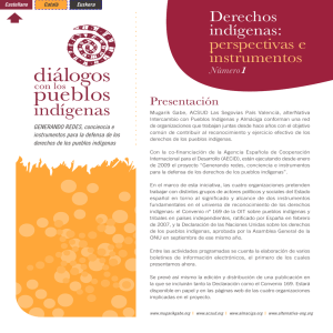 Derechos indígenas: perspectivas e instrumentos