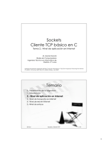 Sockets Cliente TCP básico en C Temario