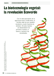 La biotecnología vegetal: la revolución Ecoverde