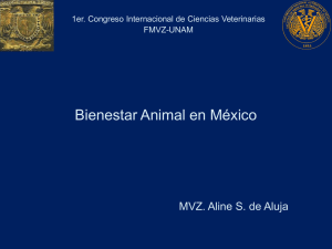 Bienestar Animal en México