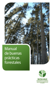 Manual de buenas prácticas forestales