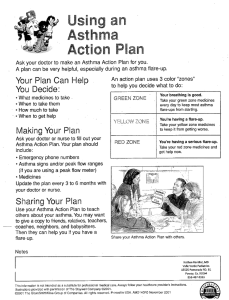 YGUE` P5611 Can 9gp . An action plan uses 3 color “zones”