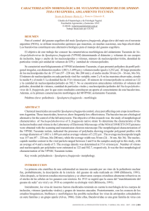 caracterización morfológica de nucleopolyhedrovirus de spodoptera