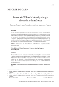 Tumor de Wilms bilateral y cirugía ahorradora de nefronas