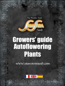 Autoflowering Plants Growers` guide - samsara