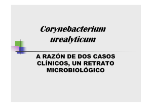 Infección urinaria relacionada con Corynebacterium