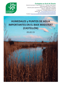 Informe Humedales Baix Maestrat