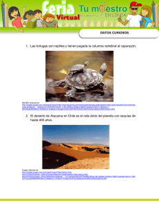 DATOS CURIOSOS 1. Las tortugas son reptiles y tienen