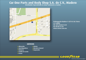 Car One Parts and Body Shop SA de CV, Madero