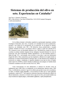 Sistemas de producción del olivo en seto. Experiencias en Cataluña*