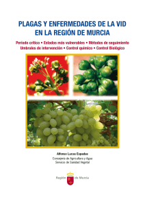 Descargar "Plagas y enfermedades de la vid en la Región de Murcia"