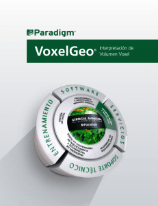 VoxelGeo - Paradigm