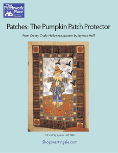 Patches: The Pumpkin Patch Protector