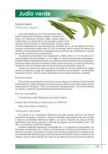 Judía verde - FEN. Fundación Española de la Nutrición