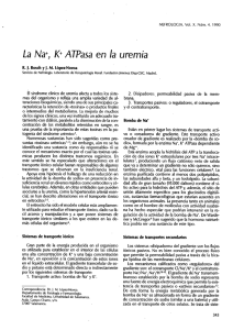 La Na+, K+ ATPasa en la uremia - Revista Nefrologia