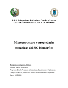 Microestructura y propiedades mecánicas del SiC biomórfico