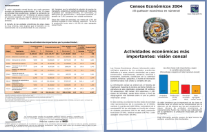 Actividades económicas más importantes: visión censal