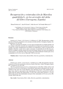 Recuperación y reintroducción de Marsilea quadrifolia L. en los