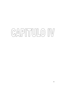 428-M385i-CAPITULO IV