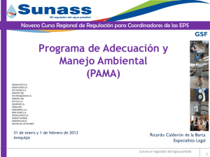 PROGRAMA DE ADECUACION Y MANEJO AMBIENTAL (PAMA)