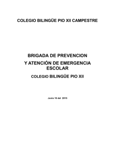 brigada de prevencion - colegio bilingüe pio xii