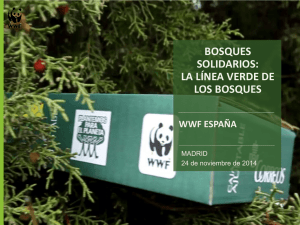 bosques solidarios: la línea verde de los bosques