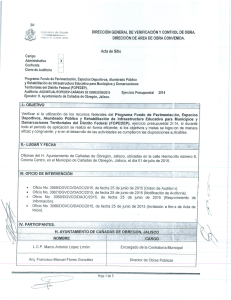 DIRECCIÓN GENERAL DE VERIFICACIÓN Y CONTROL DE OBRA