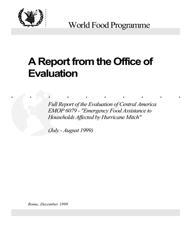 Full Report