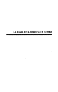 La plaga de la langosta en España